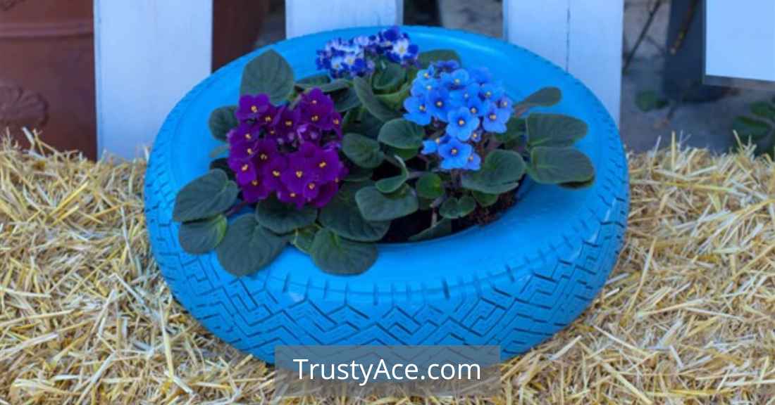 Colored Tire Planters Ideas