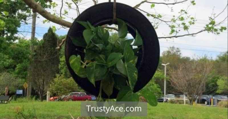 Tire Planter Ideas For Hanging Tire Planters