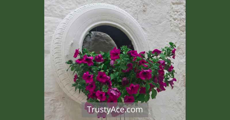 Painted Tire Planters Ideas