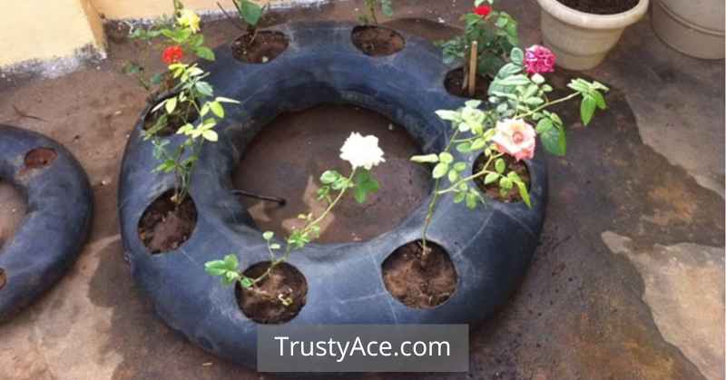 Tire Planter Ideas For DIY Car Tire Planters