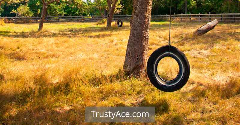 DIY Tire Swing DIY Backyard Games