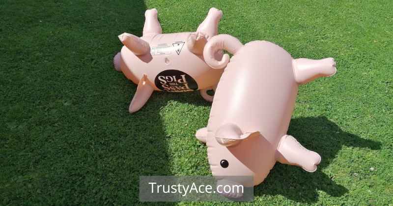 Giant Pass The Pigs Backyard Games For Fourth Of July