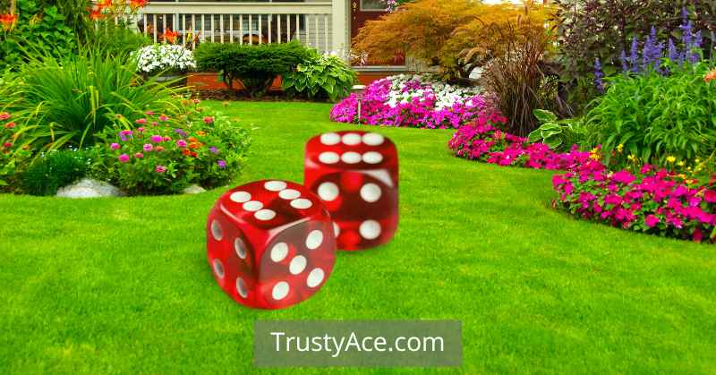 Giant Yard Dices Fall Backyard Games