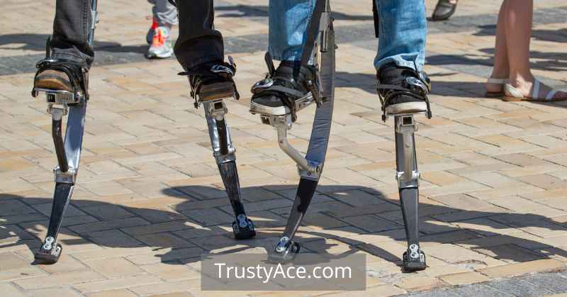 Backyard Games With Jumping Stilts