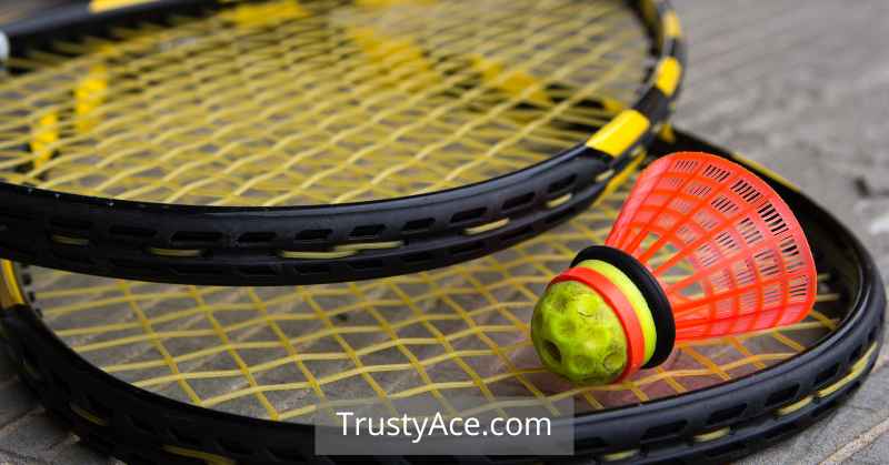 Speedminton Games For Backyard