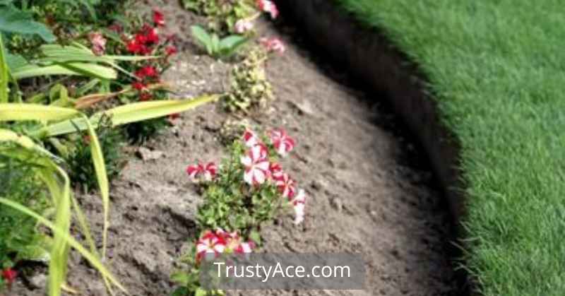 Inexpensive Landscape Border Ideas