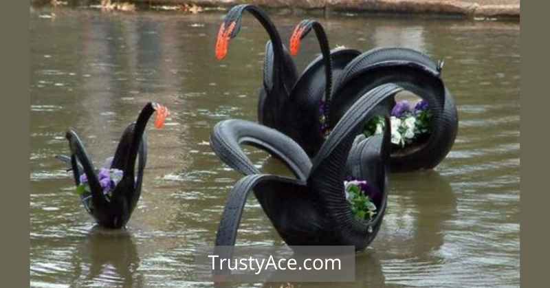 Black Swan Tire Planters Ideas