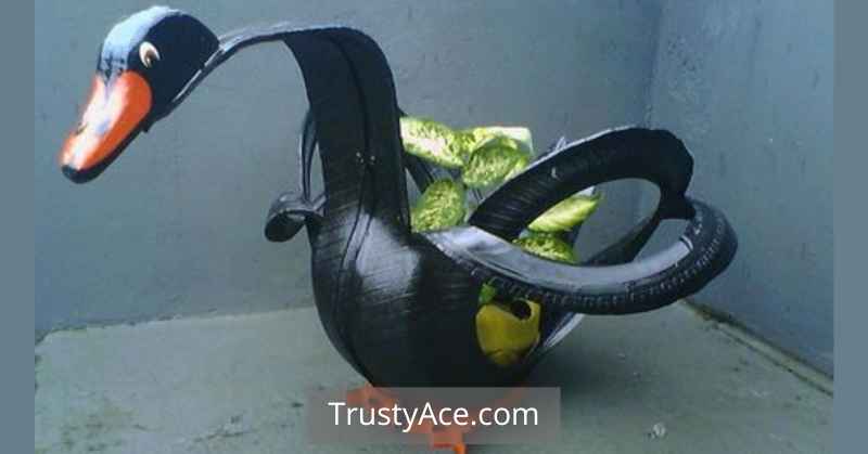 Tire Planter Ideas For Black Swan Tire Planters