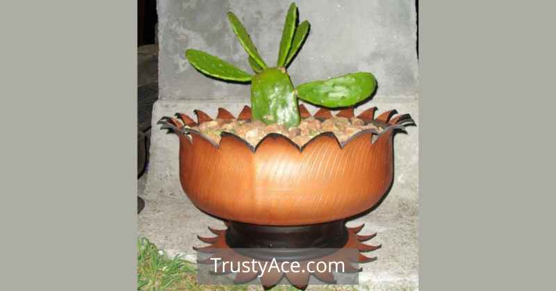 Flower Pot Tire Planters Ideas