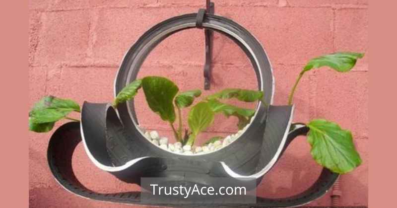 Old Tires Turned Into Tire Planter Ideas