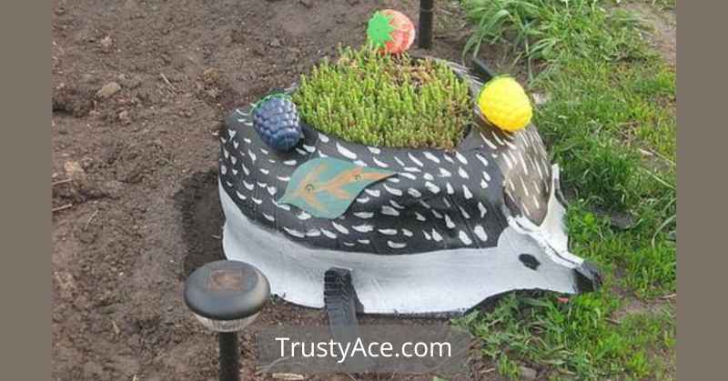 Tire Planter Ideas For Hedgehog Tire Planters