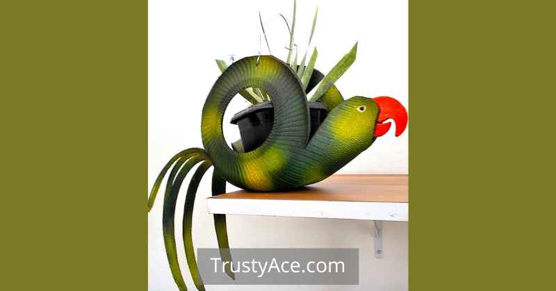 Parrot Tire Planters Ideas