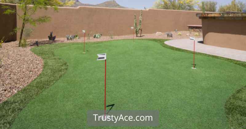 Backyard Putting Competition - BBQ Party Games Ideas For Adults