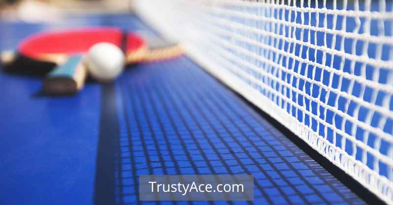 Ping Pong, Table Tennis - BBQ Party Games Ideas For Adults