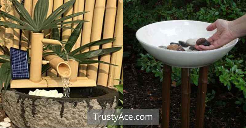 Bamboo Bird Bath Ideas