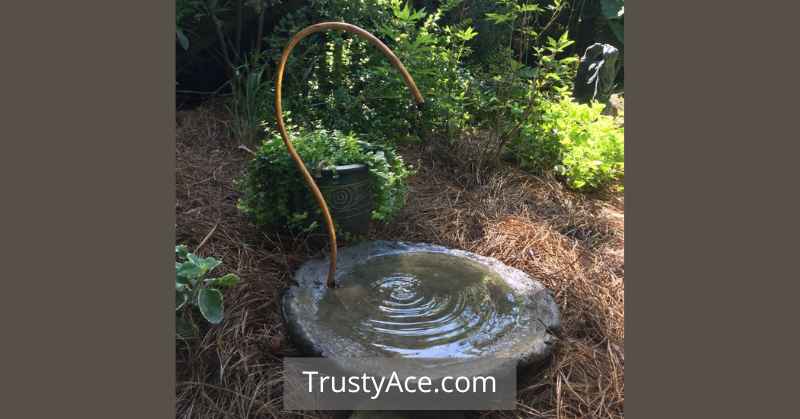 Best Bird Bath Ideas