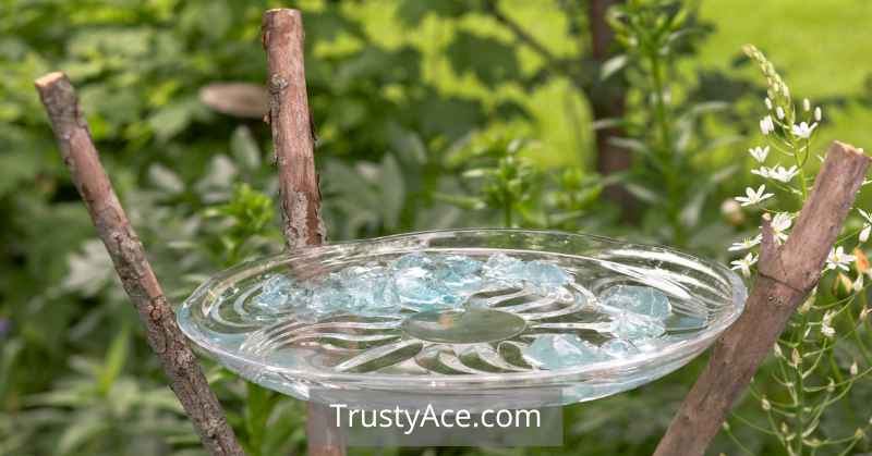 Yard Bird Bath Ideas