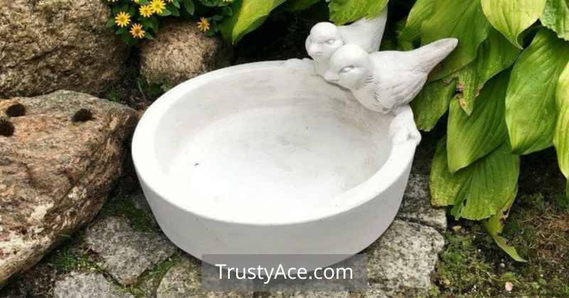 Bird Bath Ideas Cheap