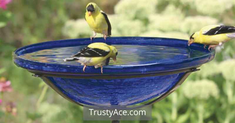 Bird Bath Ideas Colorful