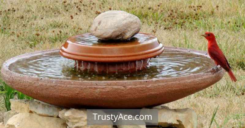 Large Bird Bath Ideas