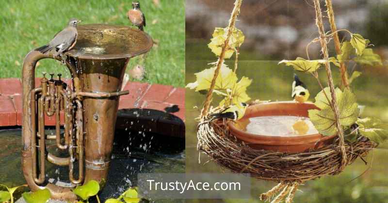 Natural Bird Bath Ideas