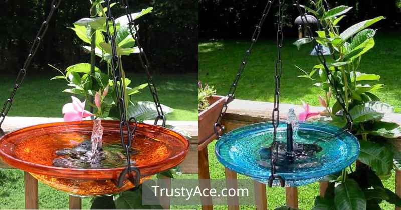 Bird Bath Ideas Flowers