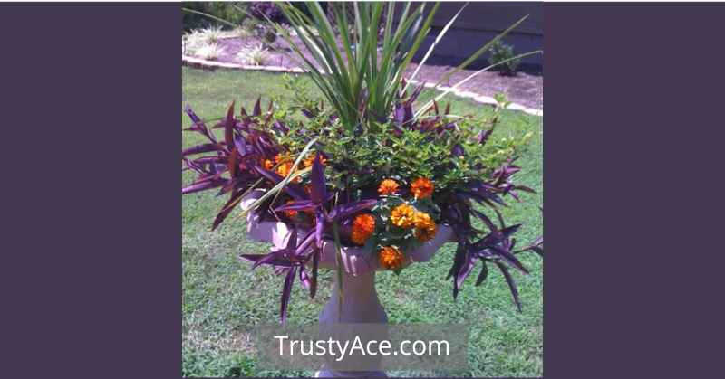 Stone Bird Bath Ideas