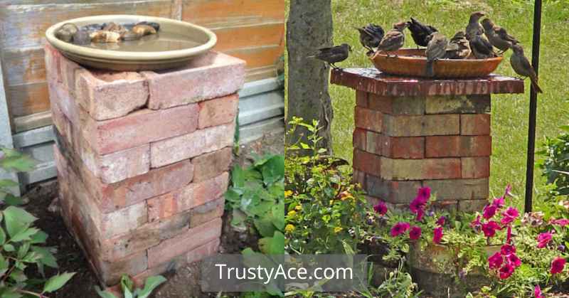 Brick Bird Bath Ideas