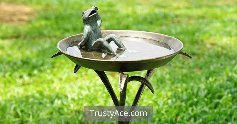 Charming Bird Bath Ideas