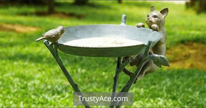 Bird Bath Ideas Charming