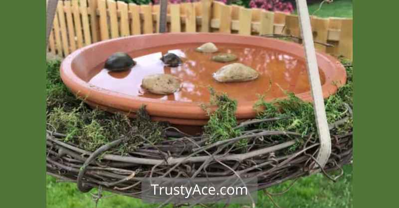 Clay Pot Bird Bath Ideas