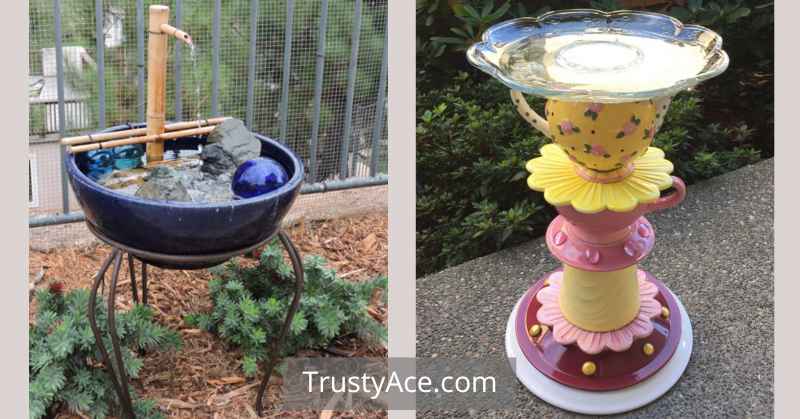 Clever Bird Bath Ideas