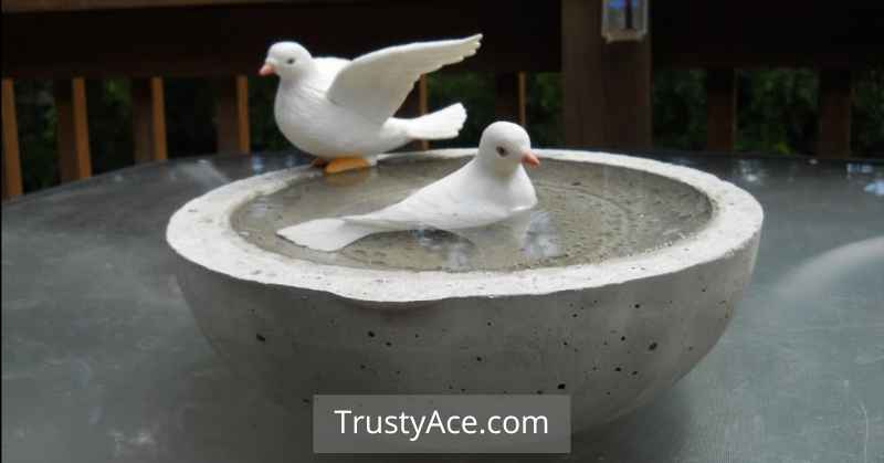 Concrete Bird Bath Ideas