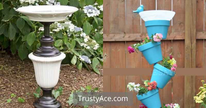 Creative Bird Bath Ideas