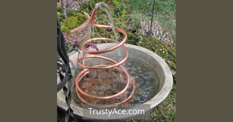 Cute Bird Bath Ideas