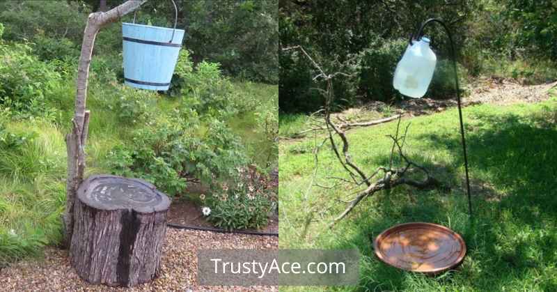 DIY Drip Bird Bath Ideas