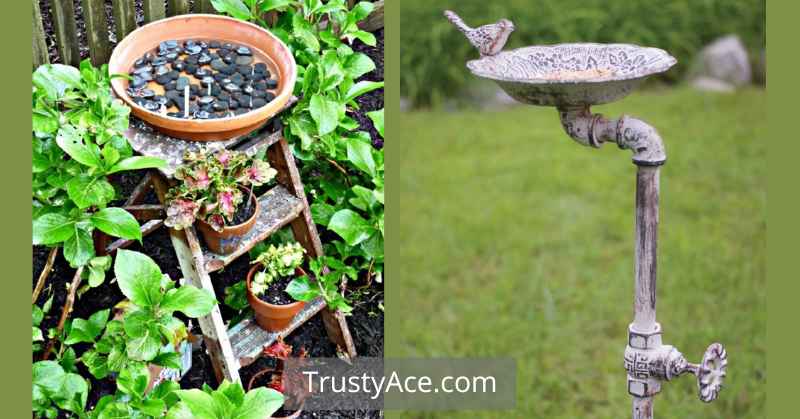 Bird Bath Ideas DIY