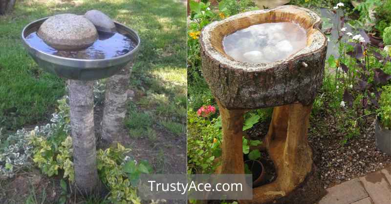 Tree Stump Bird Bath Ideas