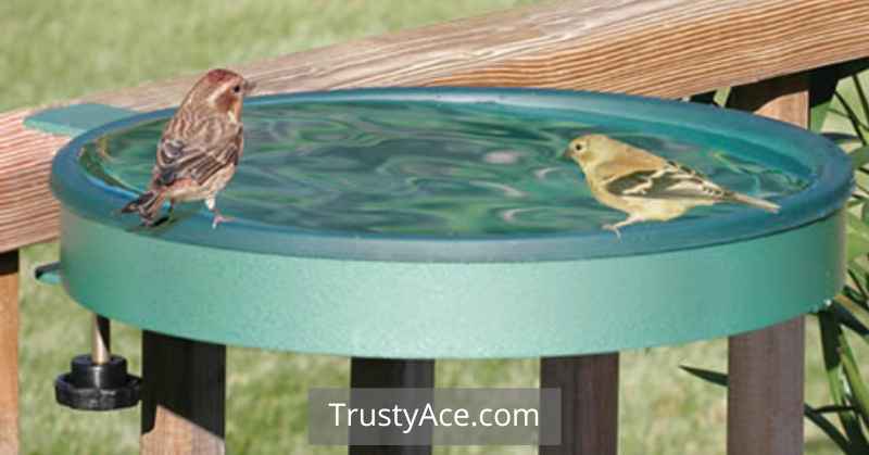 Bird Bath Ideas Deck Mounted