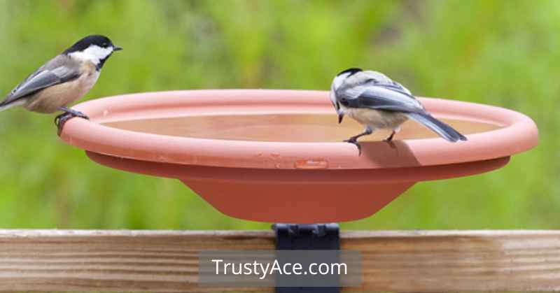 Bird Bath Ideas Mounted To Deck