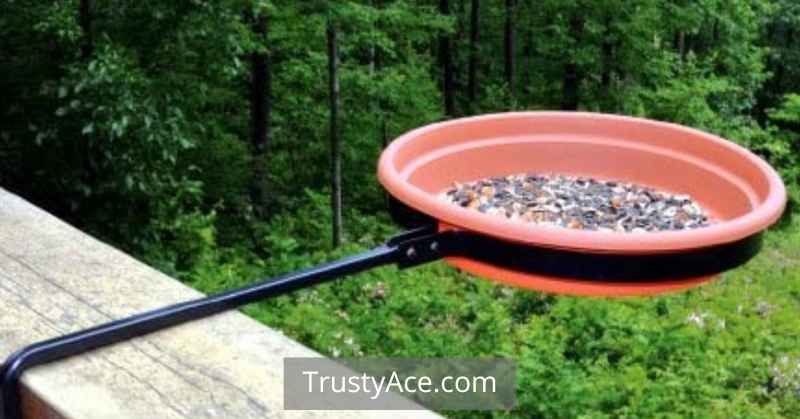 Bird Bath Ideas That Are Deck Mounted