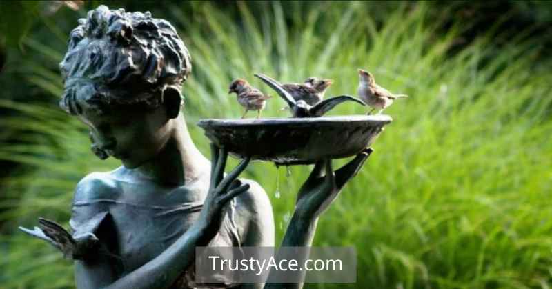 Decorative Bird Bath Ideas