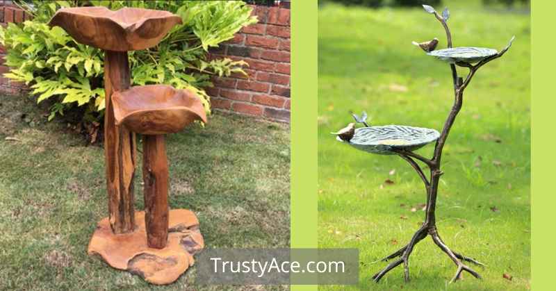 Double Bird Bath Ideas