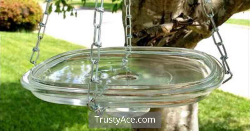 Easy Bird Bath Ideas