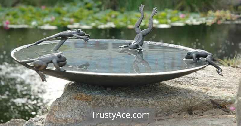 Fun Bird Bath Ideas