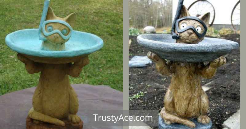 Funny Bird Bath Ideas