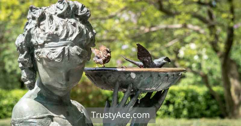 Garden Statue Bird Bath Ideas