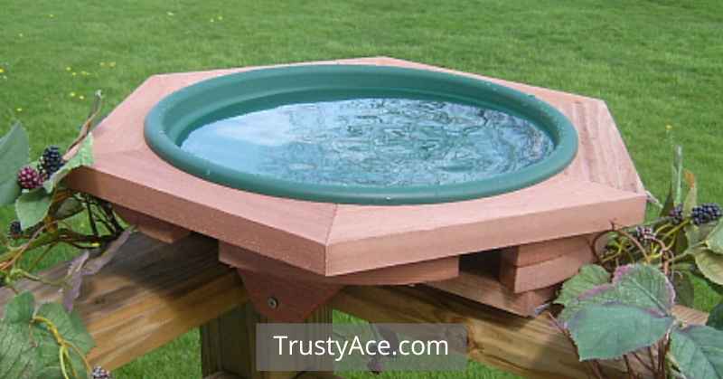 Hexagon Bird Bath Ideas