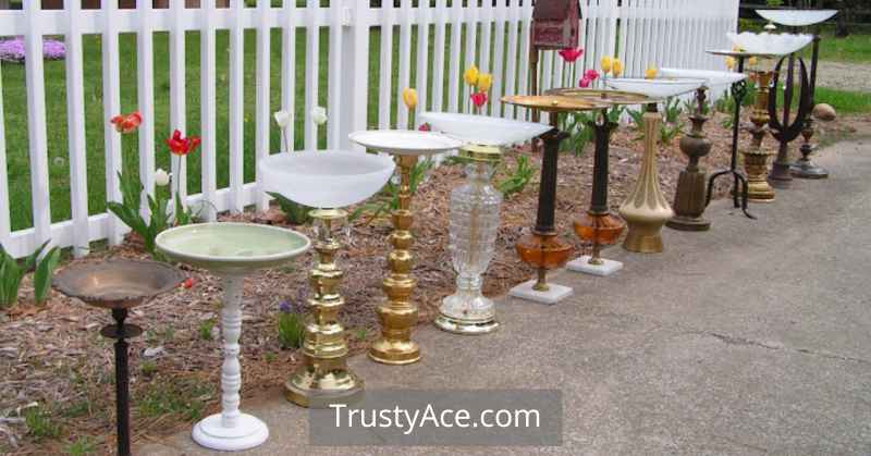 DIY Bird Bath Ideas Homemade