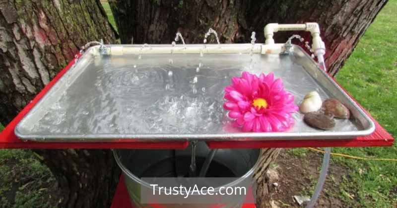 Hummingbird Bird Bath Ideas